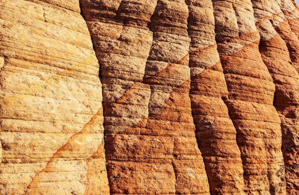 Que faut-il apprendre sur le logiciel WMS ?