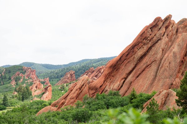 les formations les plus recommandées pour améliorer ses compétences en gestion de l'agilité organisationnelle