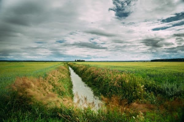 Les avantages méconnus de faire appel à une agence de traduction professionnelle